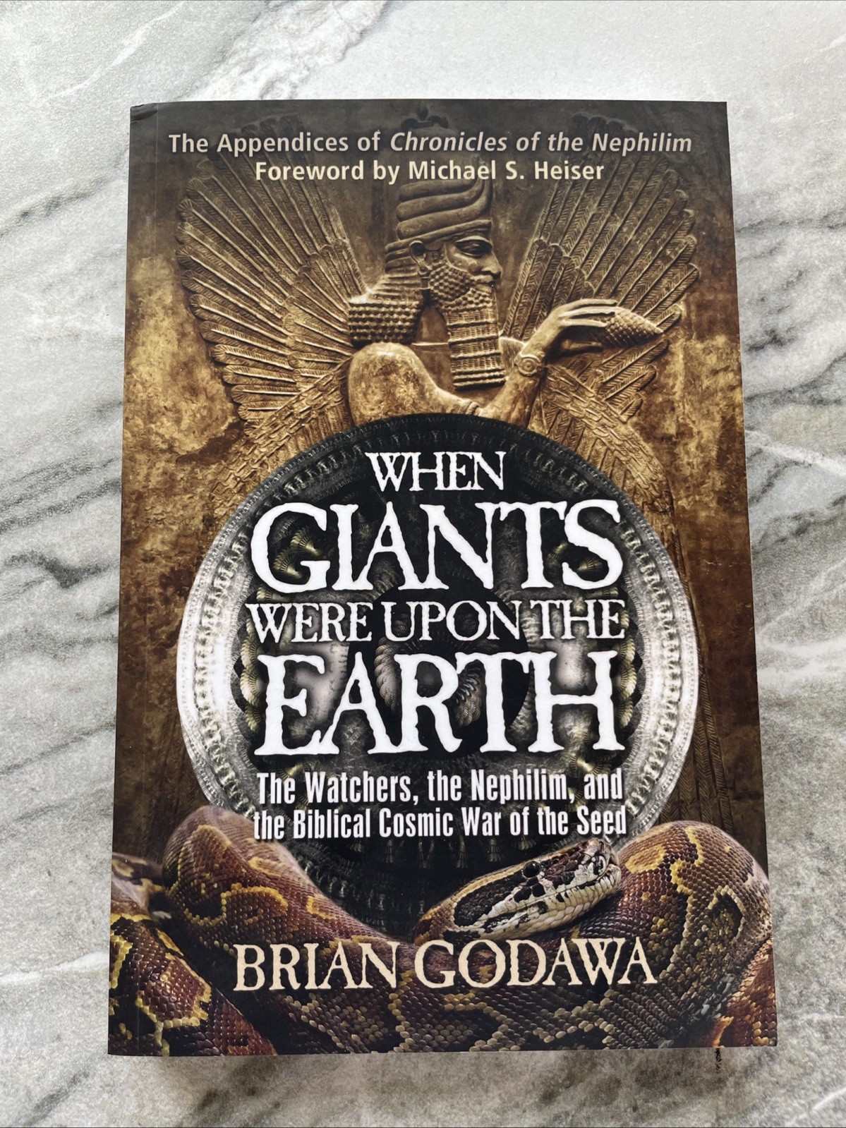 When Giants Were Upon the Earth The Watchers Nephilim Brian Godawa SC