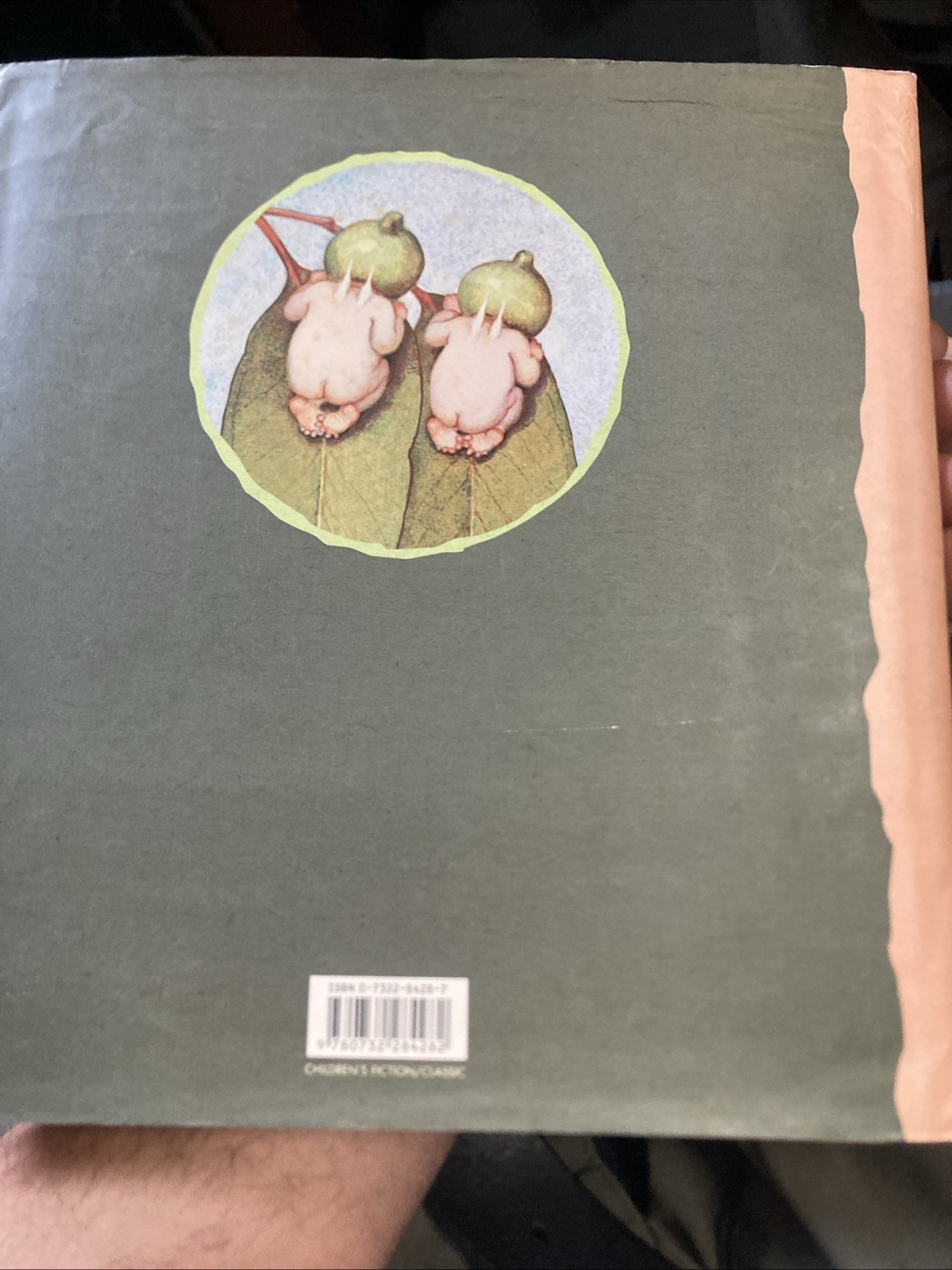The Complete Adventures of Snugglepot and Cuddlepie by May Gibbs – Hardcover