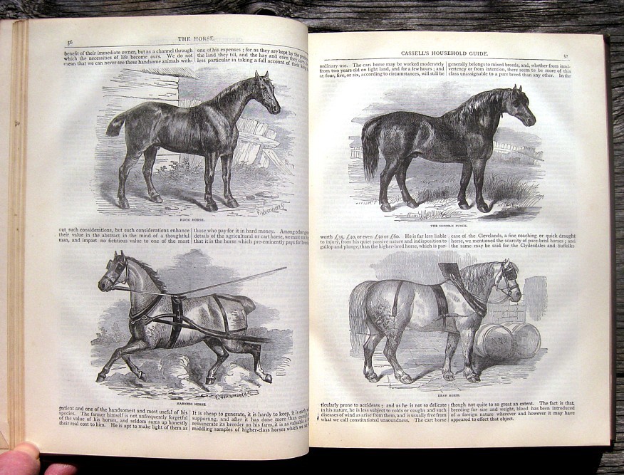 1880 Antique Cookbook Set Victorian House Home Guide Pastry Confectionery Crafts