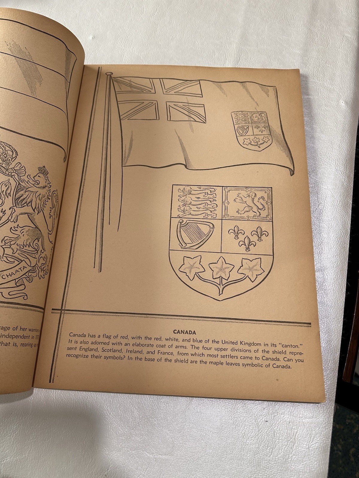 Vintage National Flags Coloring Book 48 Pages