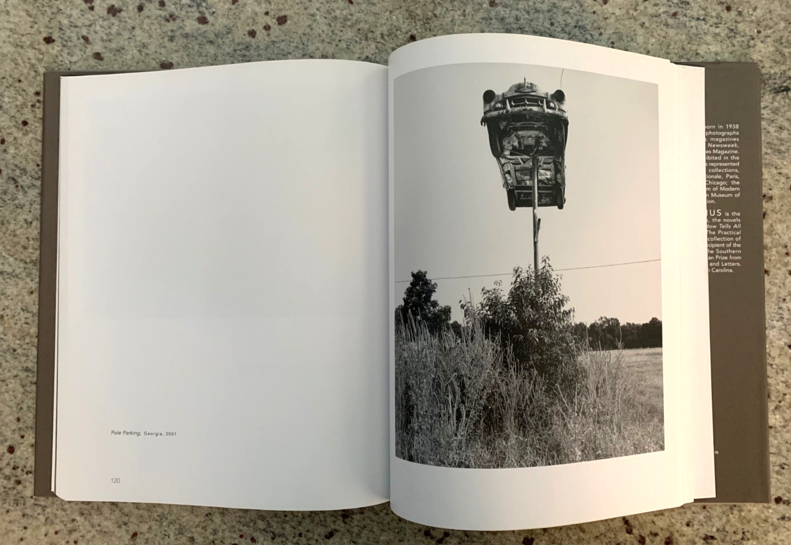 A Family Named Spot by Allan Gurganus: Hard Cover Photo Book 2006