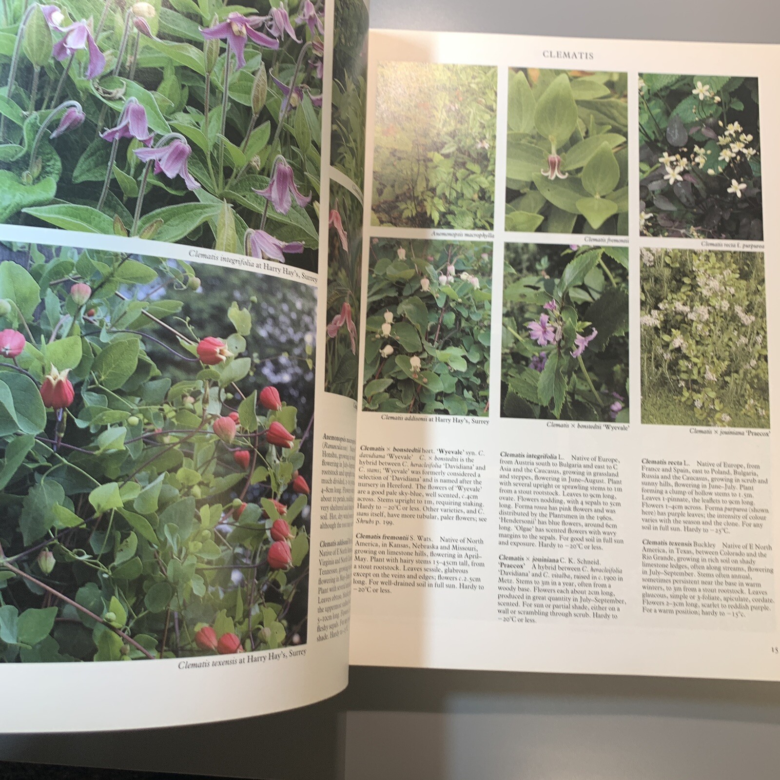 Random House Book of Perennials Vol 2, 1991, Roger Phillips 240 pages (402)