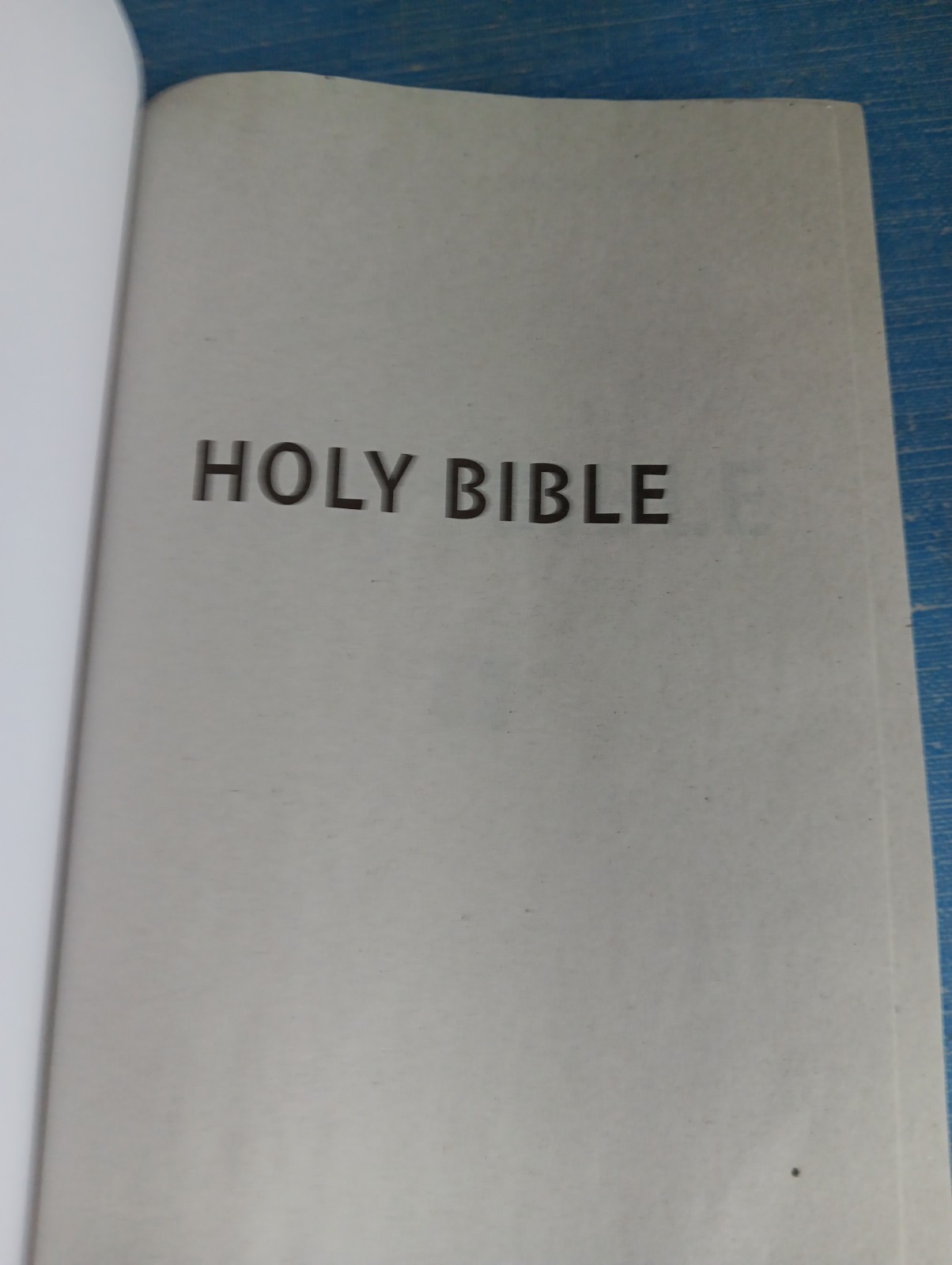 Holly Bible New Testament, New International Version, New Condition, Black