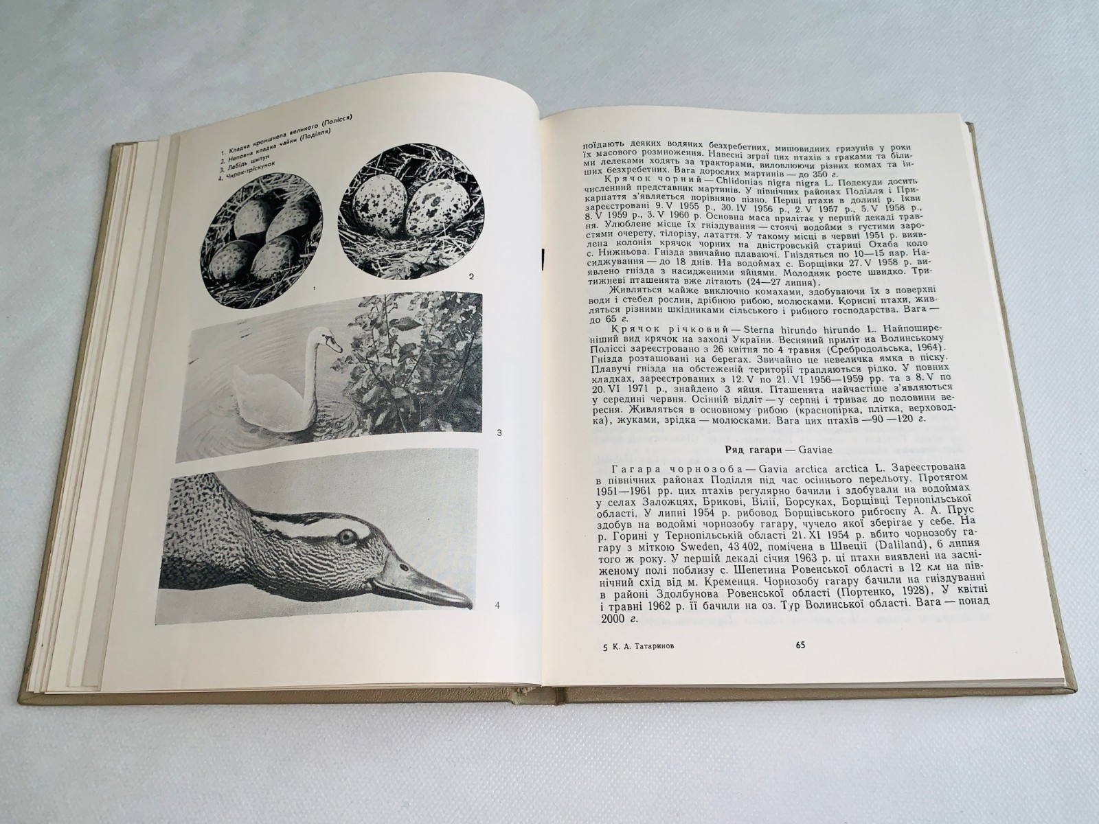Фауна Західної України Хребетні / Fauna of Vertebrates of the Western Ukraine