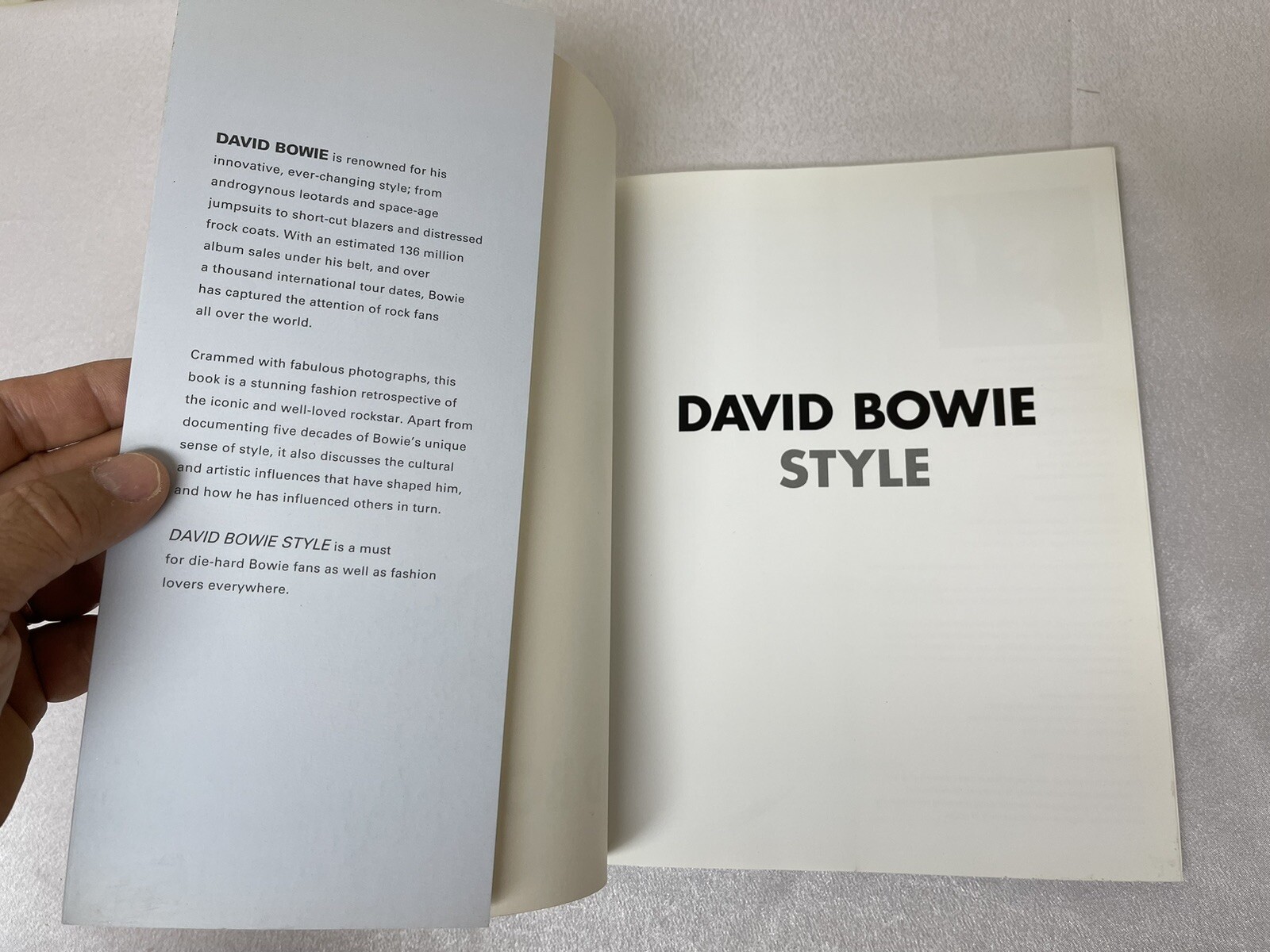 David Bowie Style By : Danny Lewis LARGE 8.7″ x 10.5″ 2012 First Edition