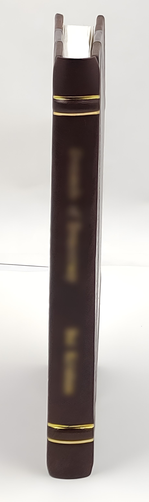 A History of the Knights of Momus. 1922 [Leather Crafted]