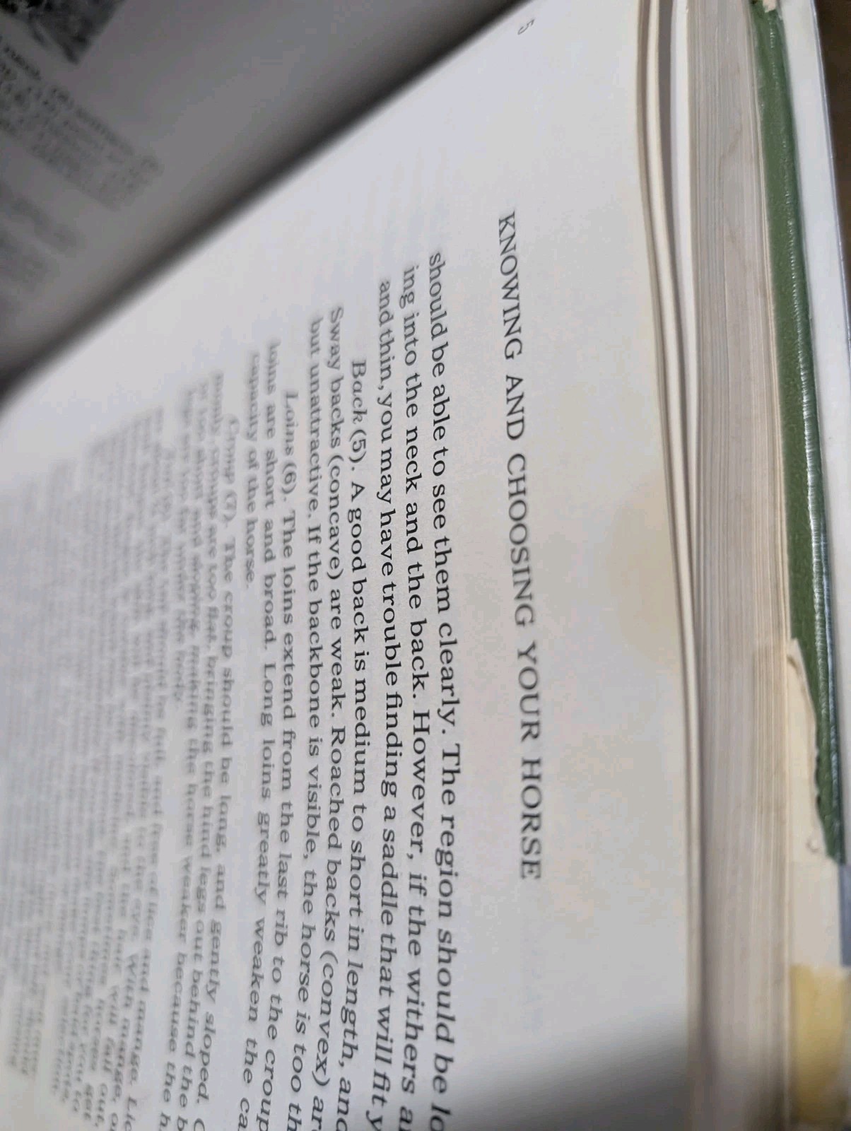 Teach Yourself To Ride A Horse Riding Vintage Horseback Training Equestrian Book