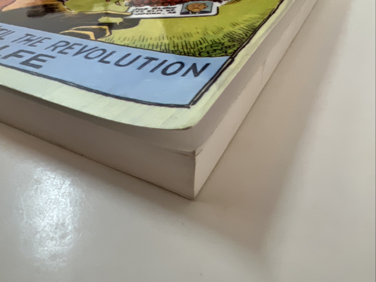 The Freedom Outlaw’s Handbook: 179 Things to Do ‚Til the Revolution