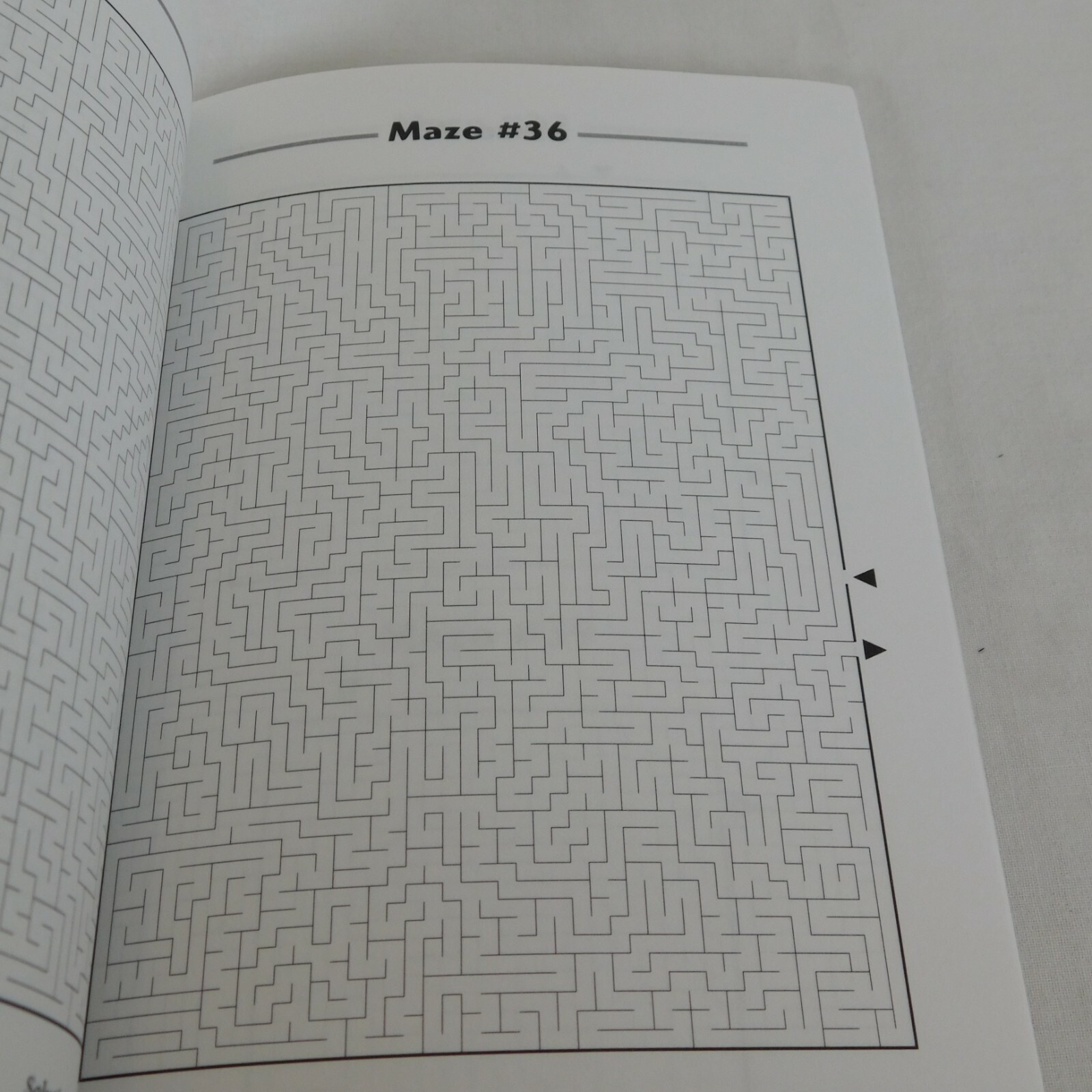 Picture This! Mazes Conceptis Puzzles 2005 Completed Mazes Create a Picture Kids