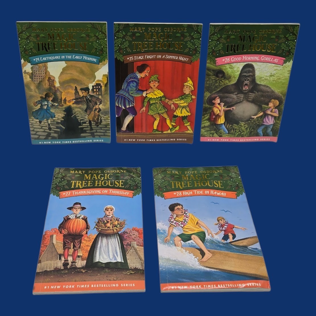 Set 4A: Magic Tree House A Library of Books 1-28 – Mary Pope Osborne Collection
