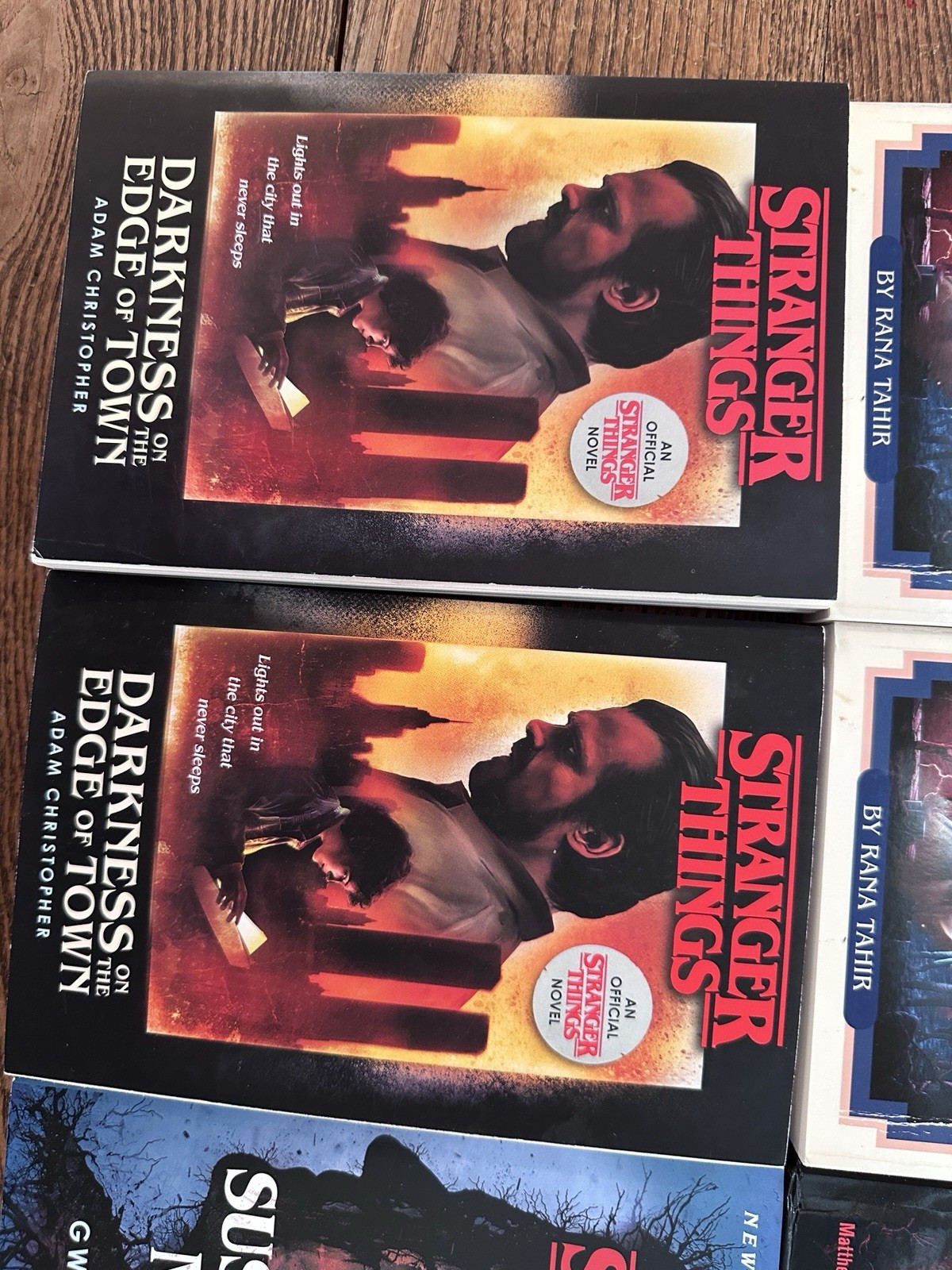 Stranger Things Lot of 6 Books: Darkness Suspicious Minds CYOA Hawkins