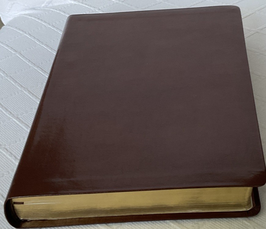 The C. S. Lewis Bible NRSV LEATHER