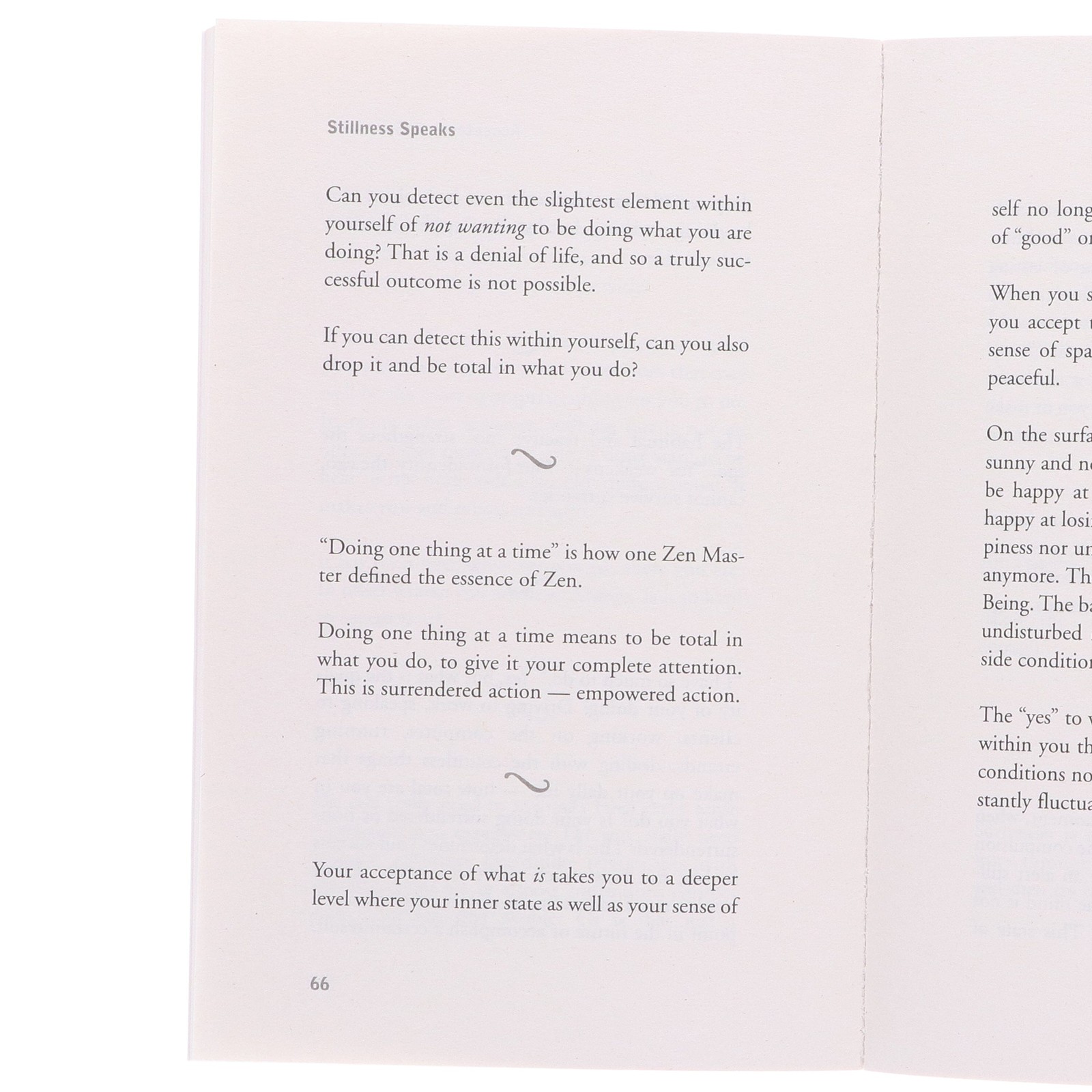 Eckhart Tolle (Practising The Power Of Now & Stillness Speaks)2 Books-Nonfiction