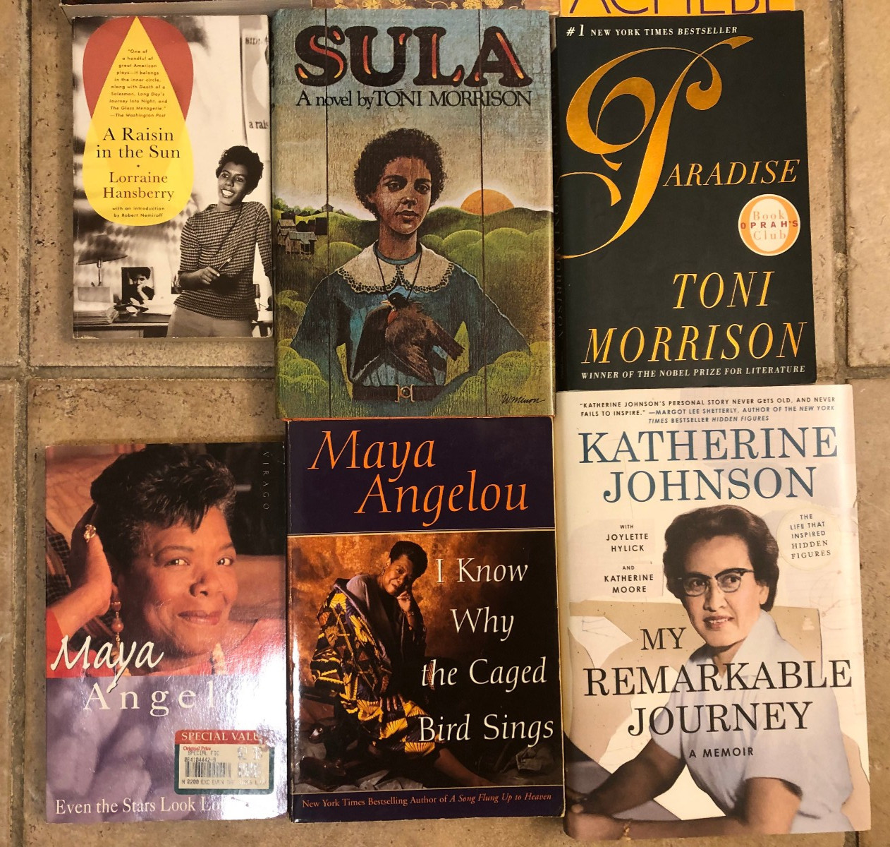 Lot of 11 African American Studies Books + DVD We Shall not be Moved NIP~ MLK ++