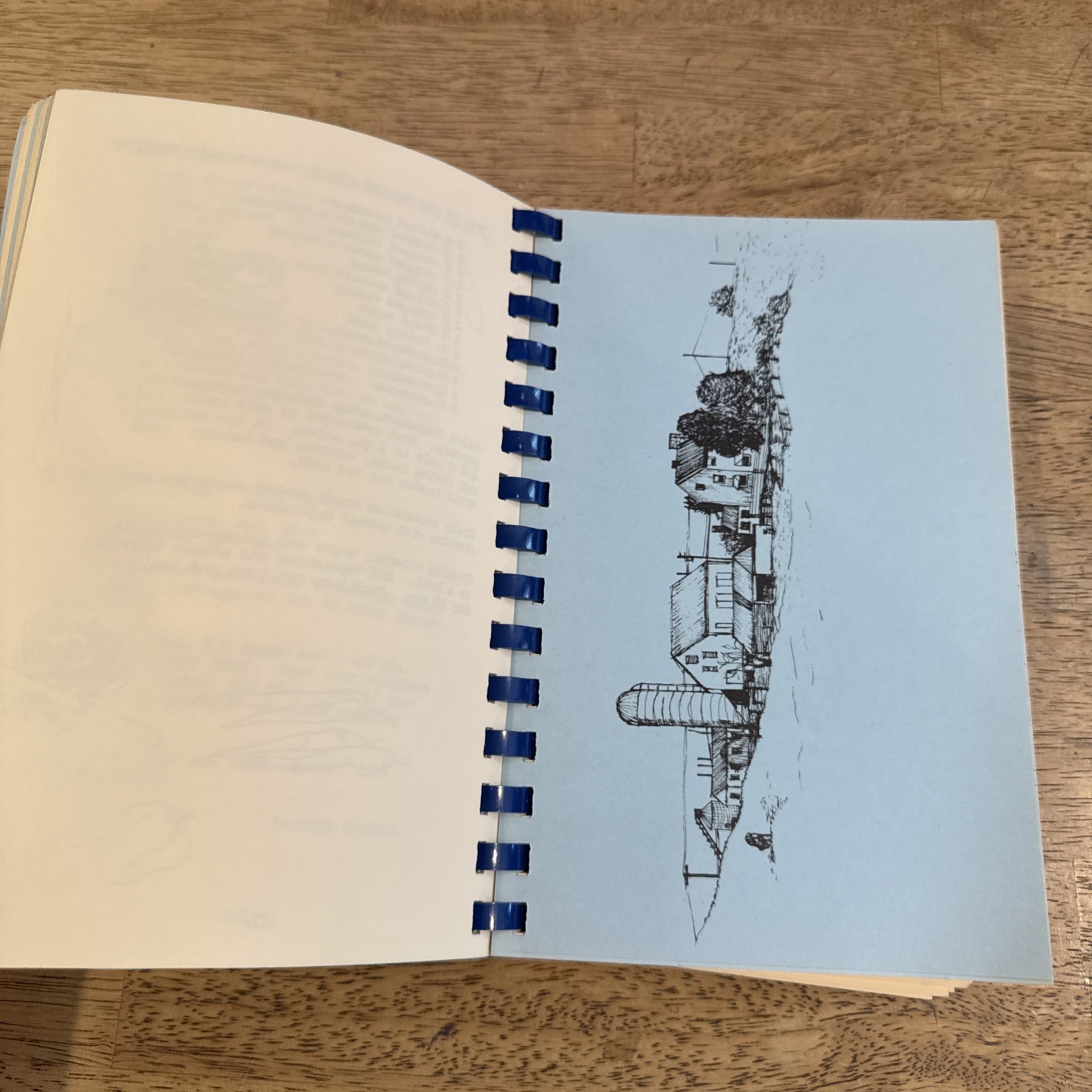 Carlisle Heritage ‘76 Cookbook A Bicentennial Collection 228 Pages Carlisle, PA