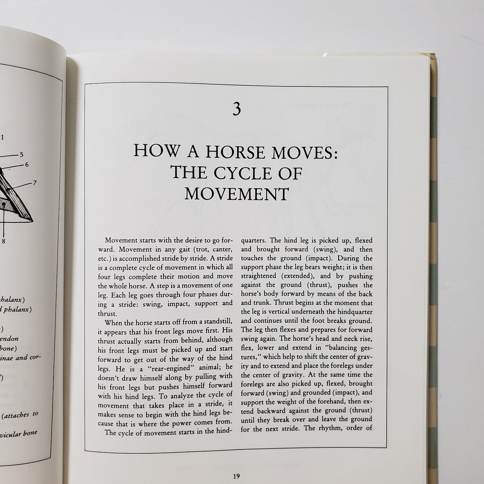 Horse Gaits, Balance and Movement by Susan E. Harris 1993 HC DJ