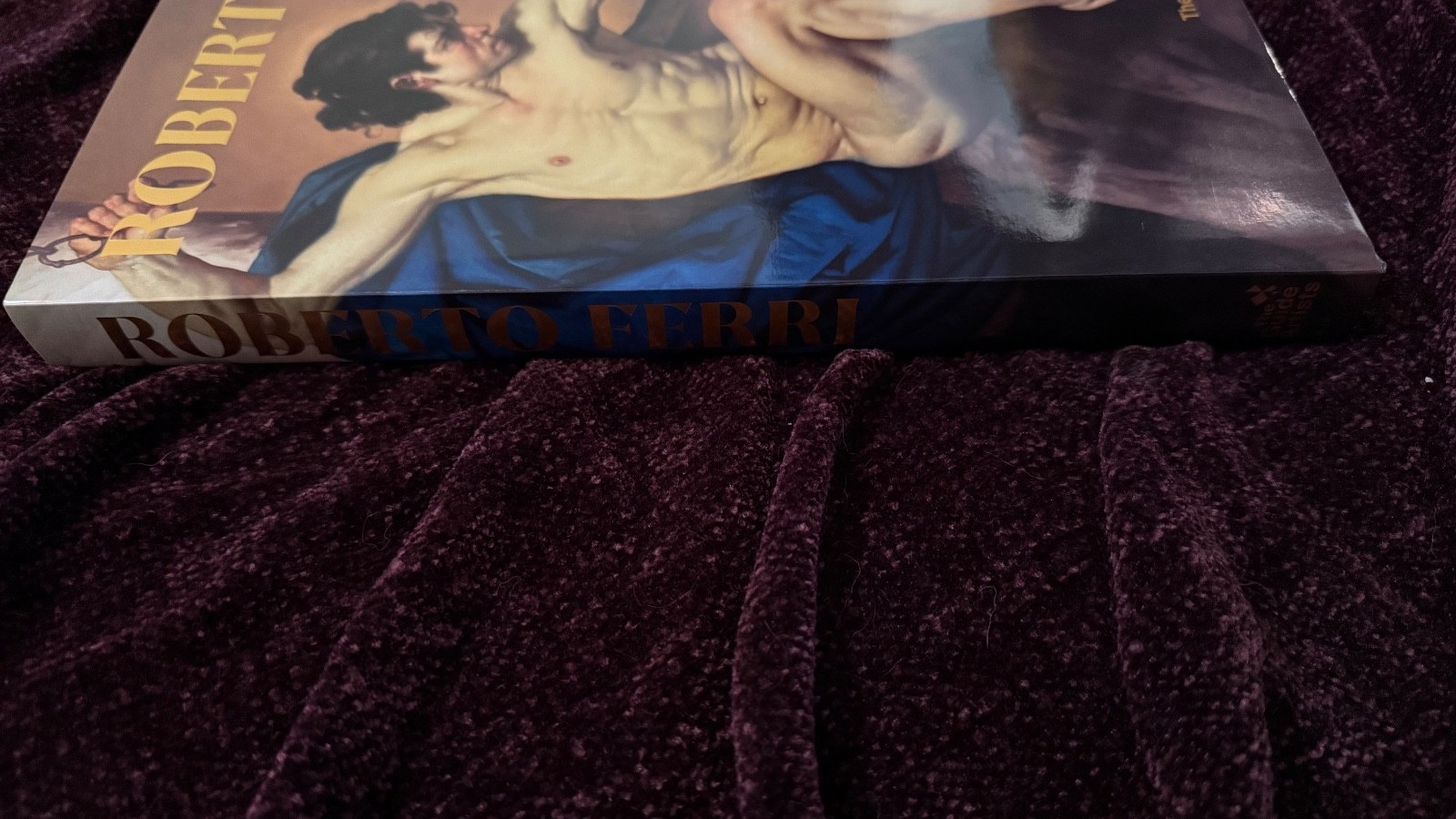 rare out of print first edition guide artists roberto ferri art book