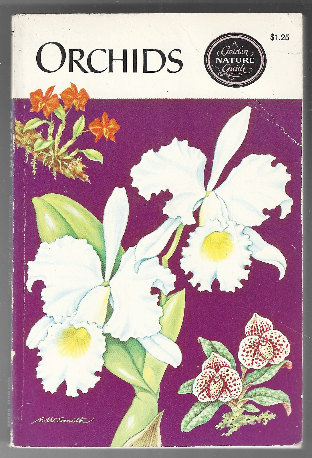 Orchids A Golden Nature Field Guide Shuttleworth/Zim/Dillon 1970 Illustrated TP