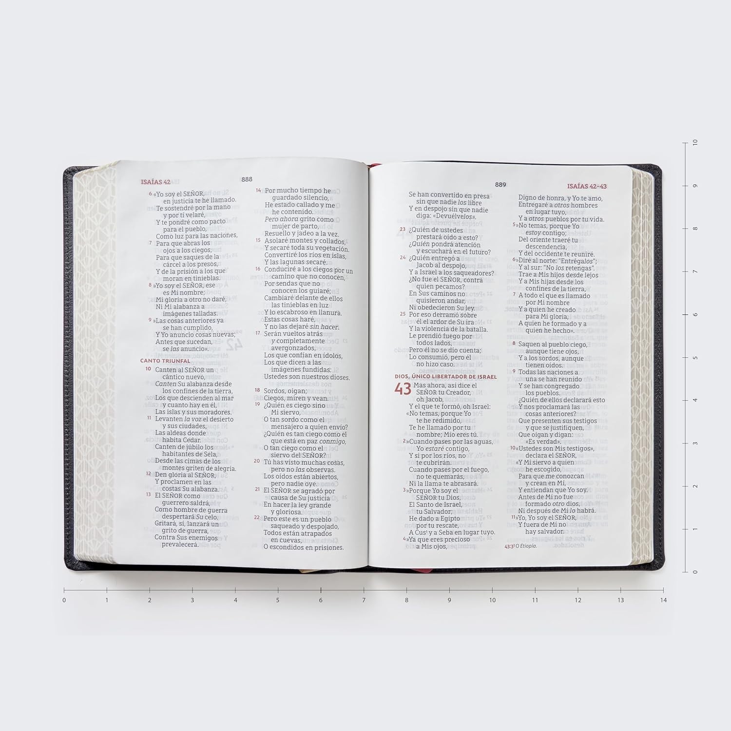 NBLA, Biblia para la Lectura Pública, Versificada, Letra Grande, Piel de Cabra,