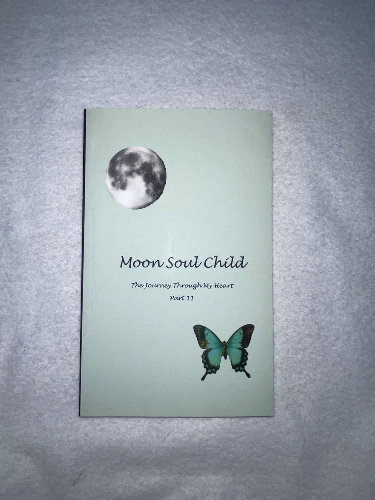 Moon Soul Child: Journey Through My Heart- Sara Sheehan 2019 Paperback