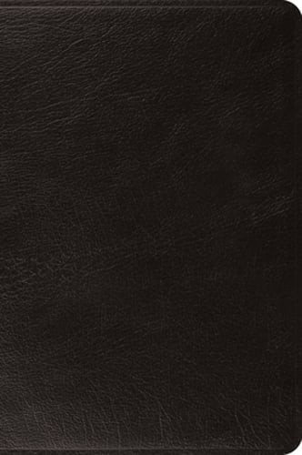 ESV Large Print Bible (Black) by Esv Bibles: New