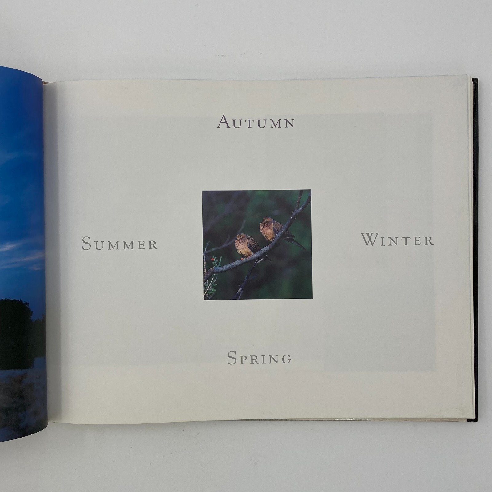Texas Seasons by Wyman Meinzer and Ray Sasser (1999, Hardback) VGC 175 pages