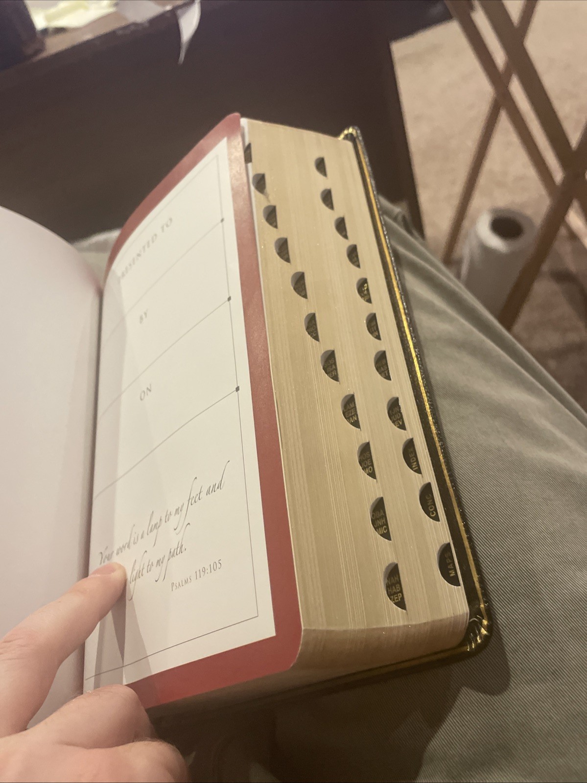 NIV Thinline Bible by Zondervan Staff (2005, Leather)