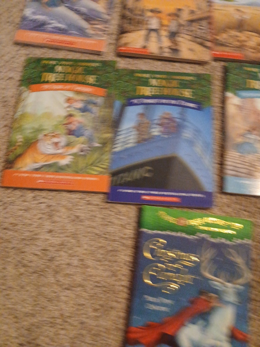 Lot of 17 Magic Tree House Books Mary Pope Osborne Childrens