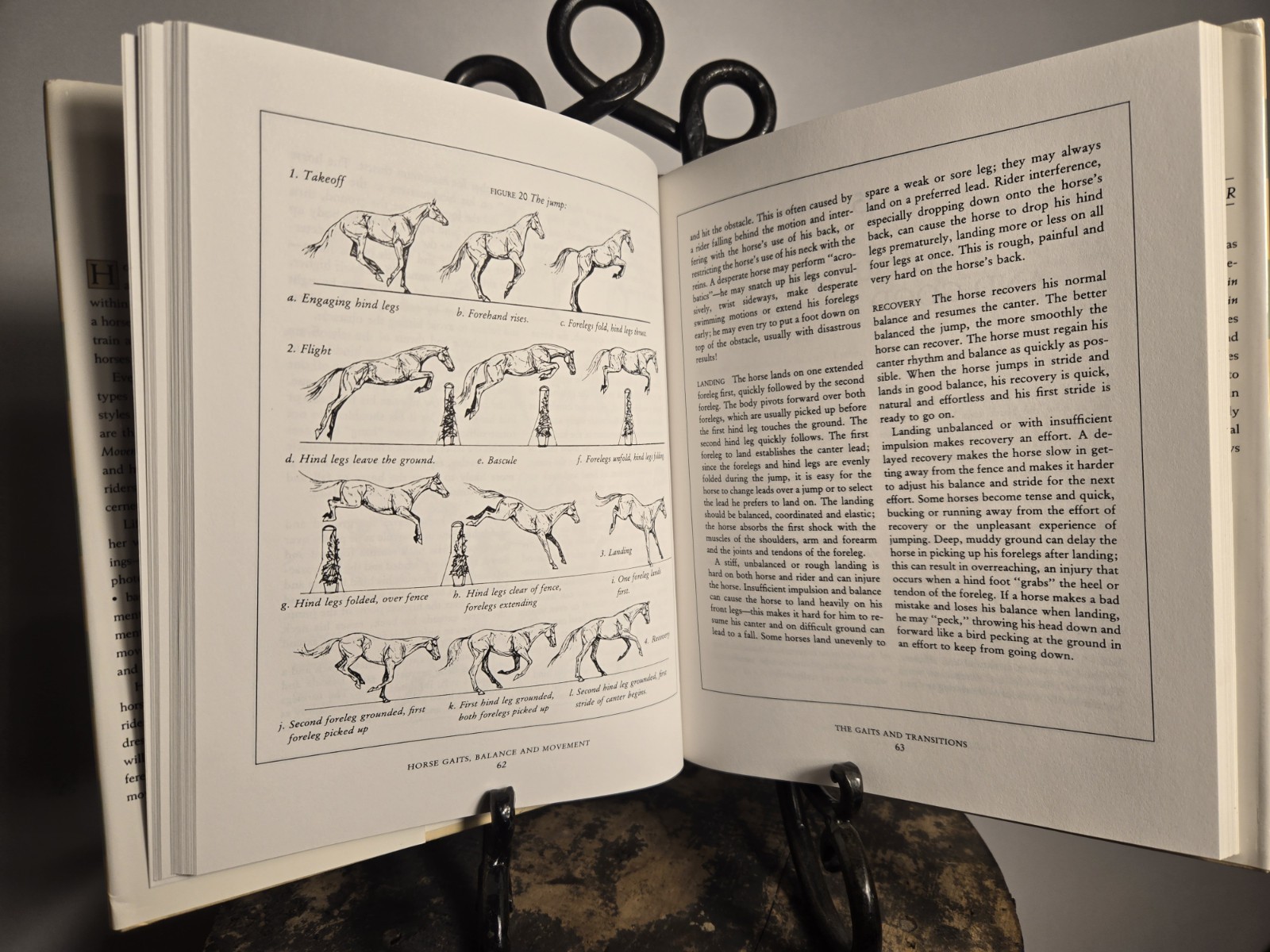 Susan E. Harris Horse Gaits, Balance and Movement (1993)