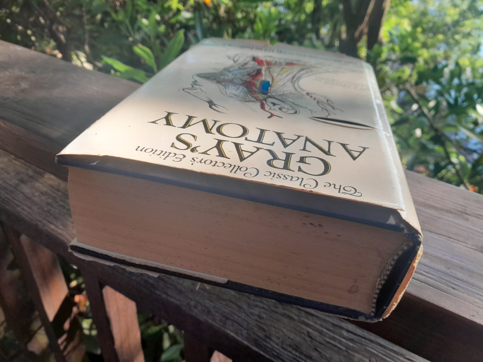 Gray’s Anatomy: The Classic Collector’s Edition~Henry Gray~VINTAGE 1977 HC/DJ