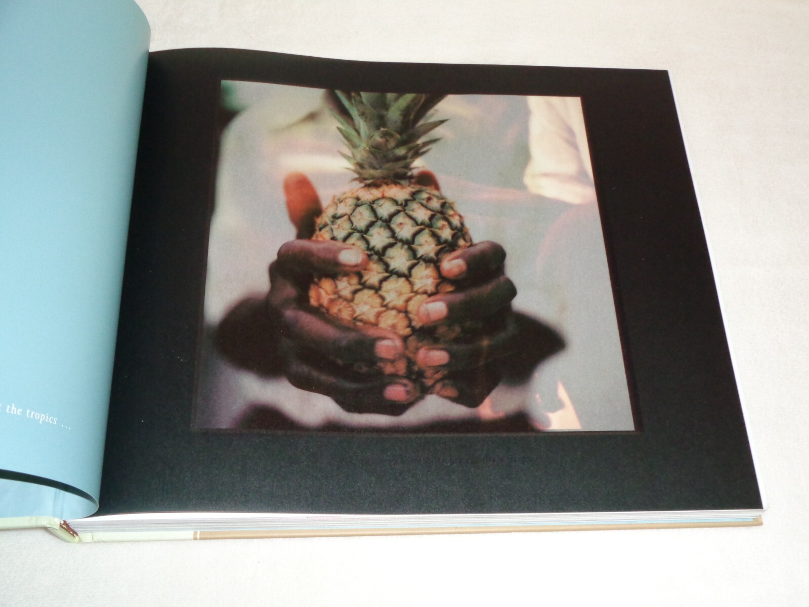 Island Life Inspirational Interiors SIGNED India Hicks David Flint Wood Book