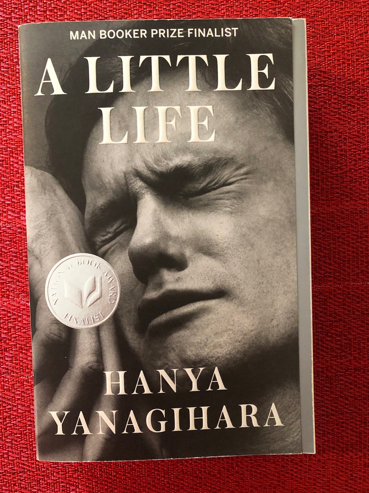 HANYA YANAGIHARA: A Little Life (NEW softcover)