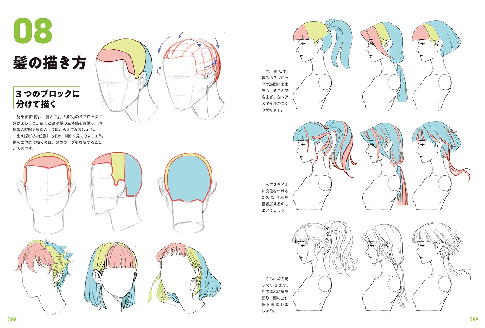Human Anatomy Drawing Master Guide: Character Design Basics, Large Book