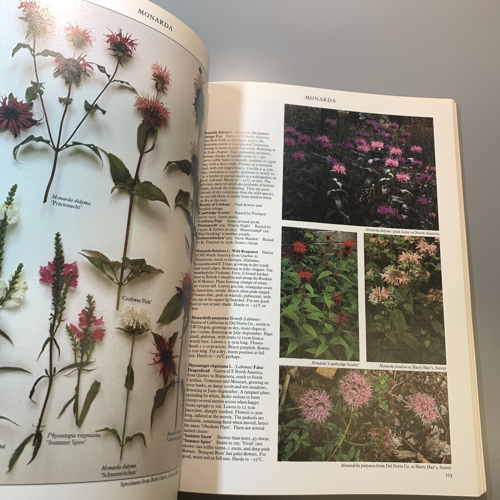 Random House Book of Perennials Vol 2, 1991, Roger Phillips 240 pages (402)