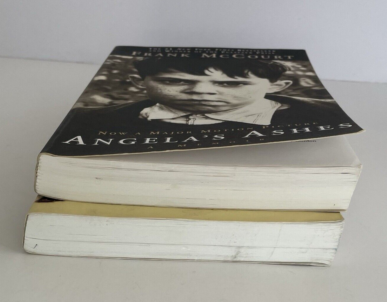 Angela’s Ashes & ‚Tis by Frank McCourt Memoirs Biography Ireland Irish Americans