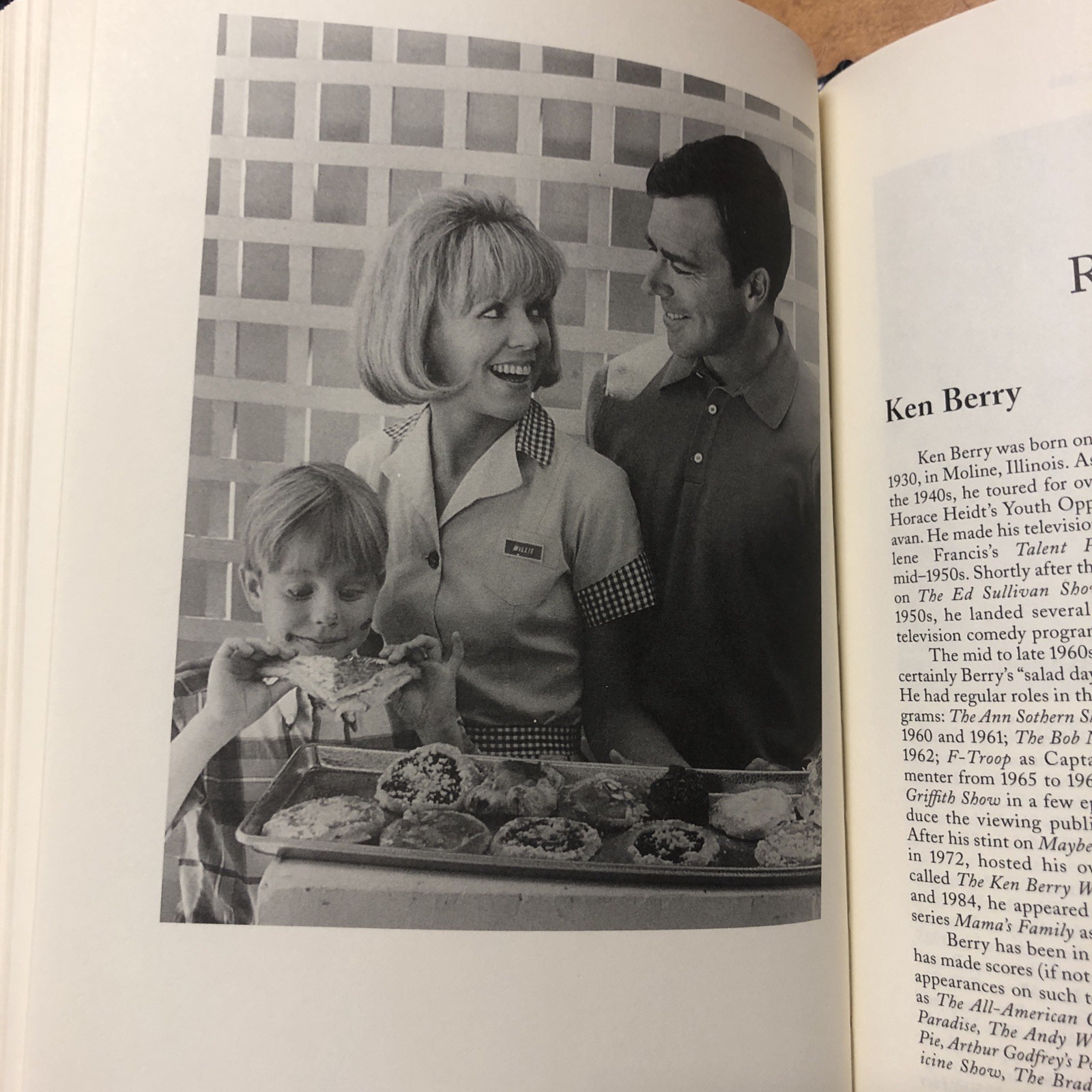 A Guide to Television’s Mayberry R.F.D. by David Fernandes Dale Robinson HC