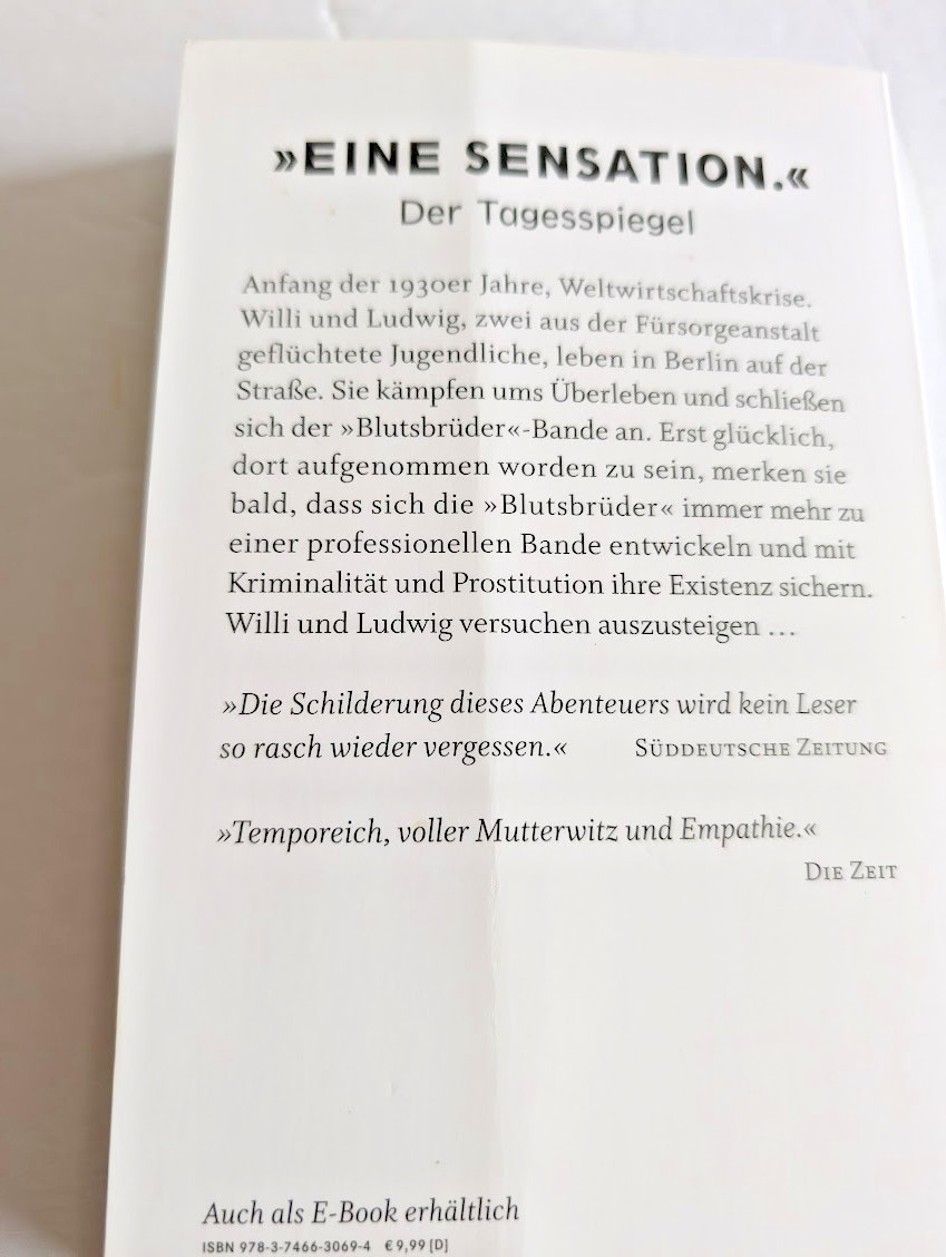 Ernst Haffner – Blutsbruder – Aufbau Taschenbuch, PB, GC+