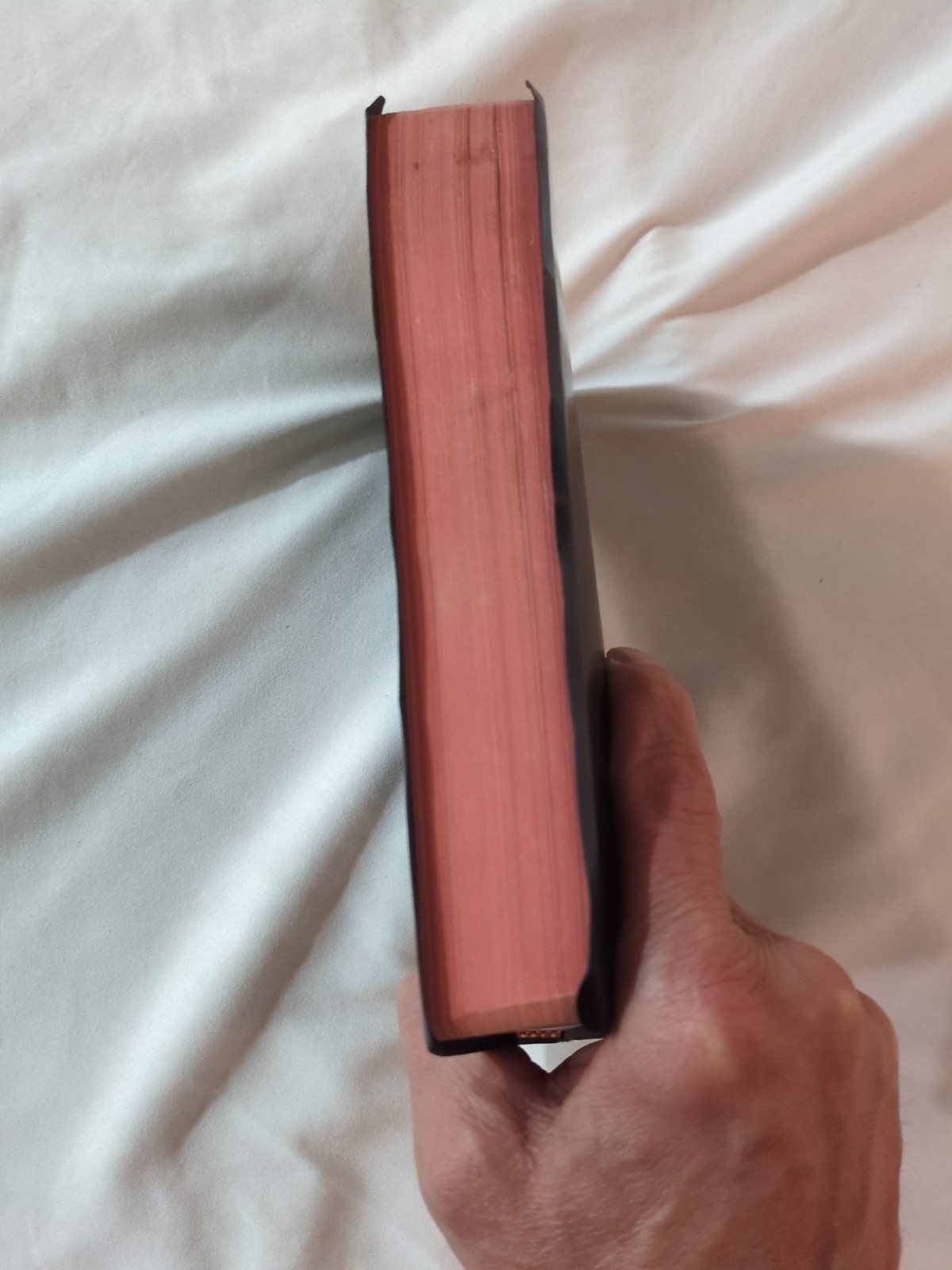 Vintage 1982 Holy Bible King James Version KJV Black Red Letter Study Dictionary