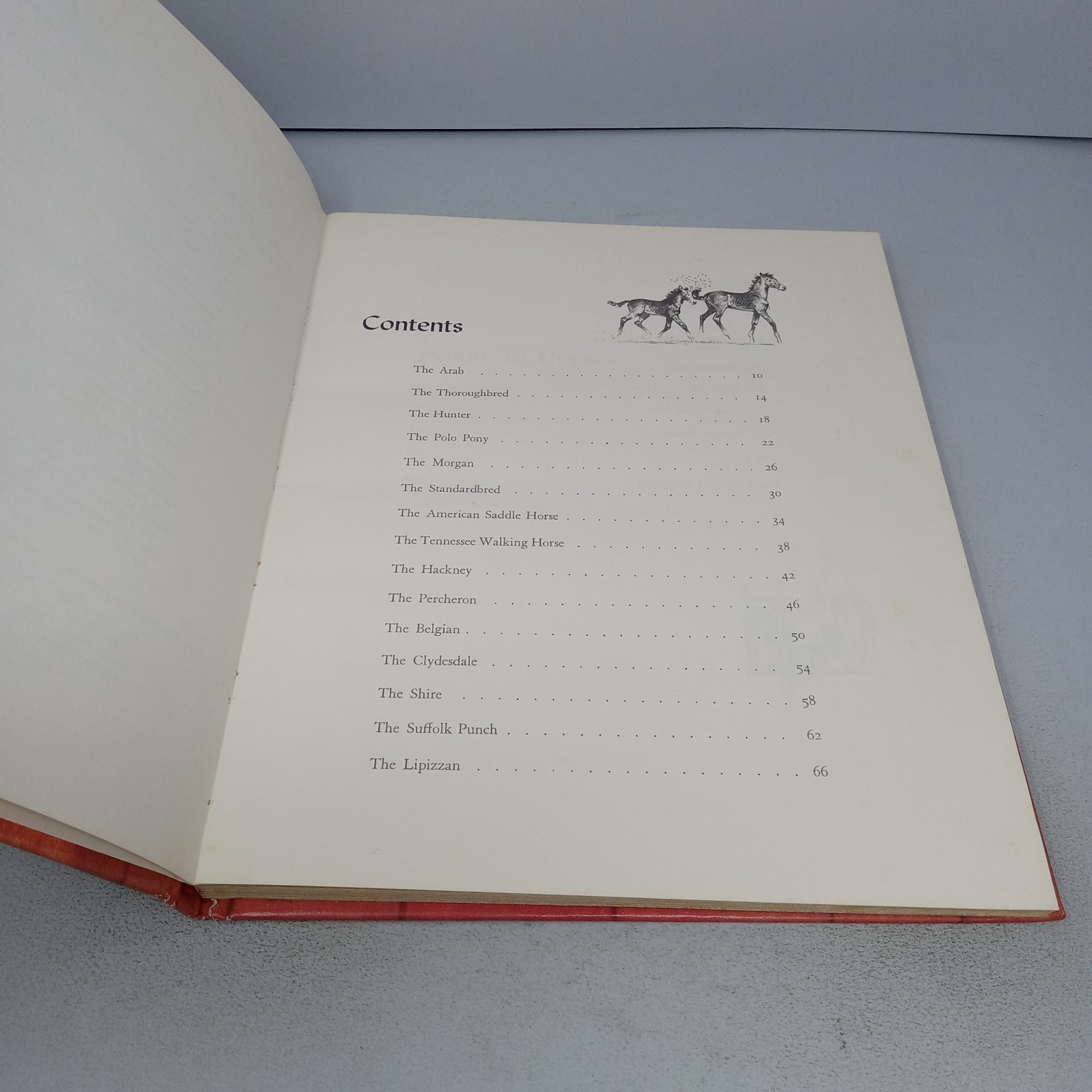 Album of Horses: 1978 23rd Printing Rand McNally Hardcover by Marguerite Henry