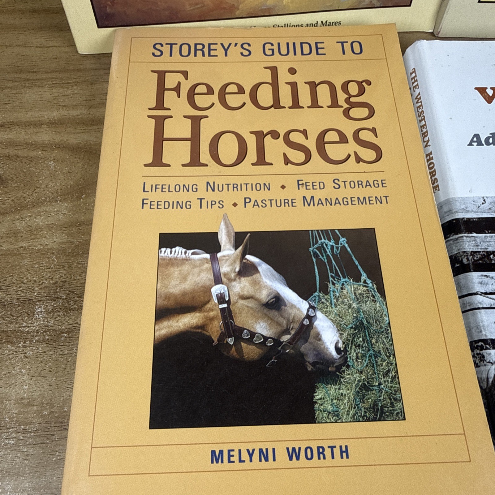 Lot HORSE EQUINE Literature Equestrian Books And Dvds