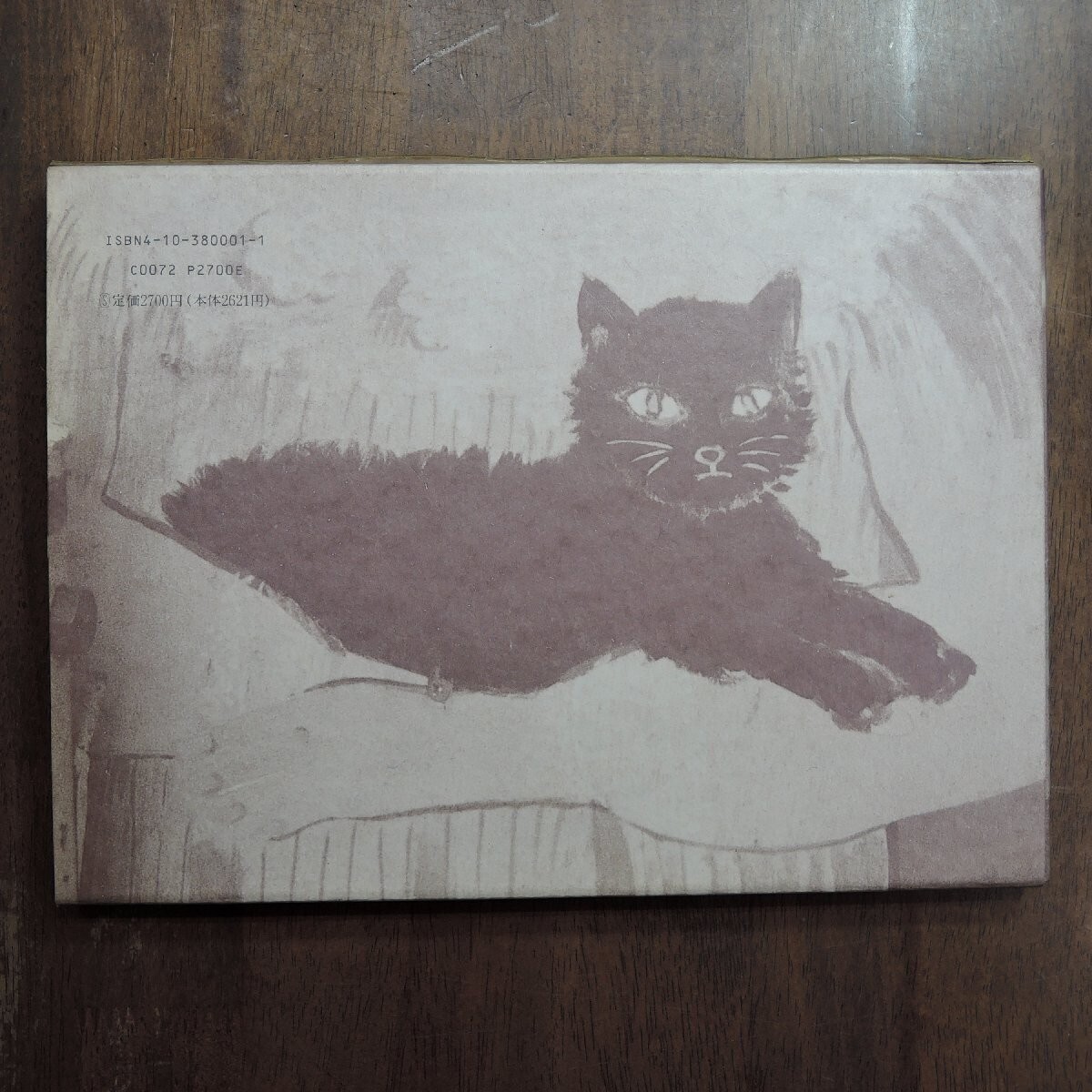 Photo Book Sentimental Journey Winter 1991 Nobuyoshi Araki Japanese Used
