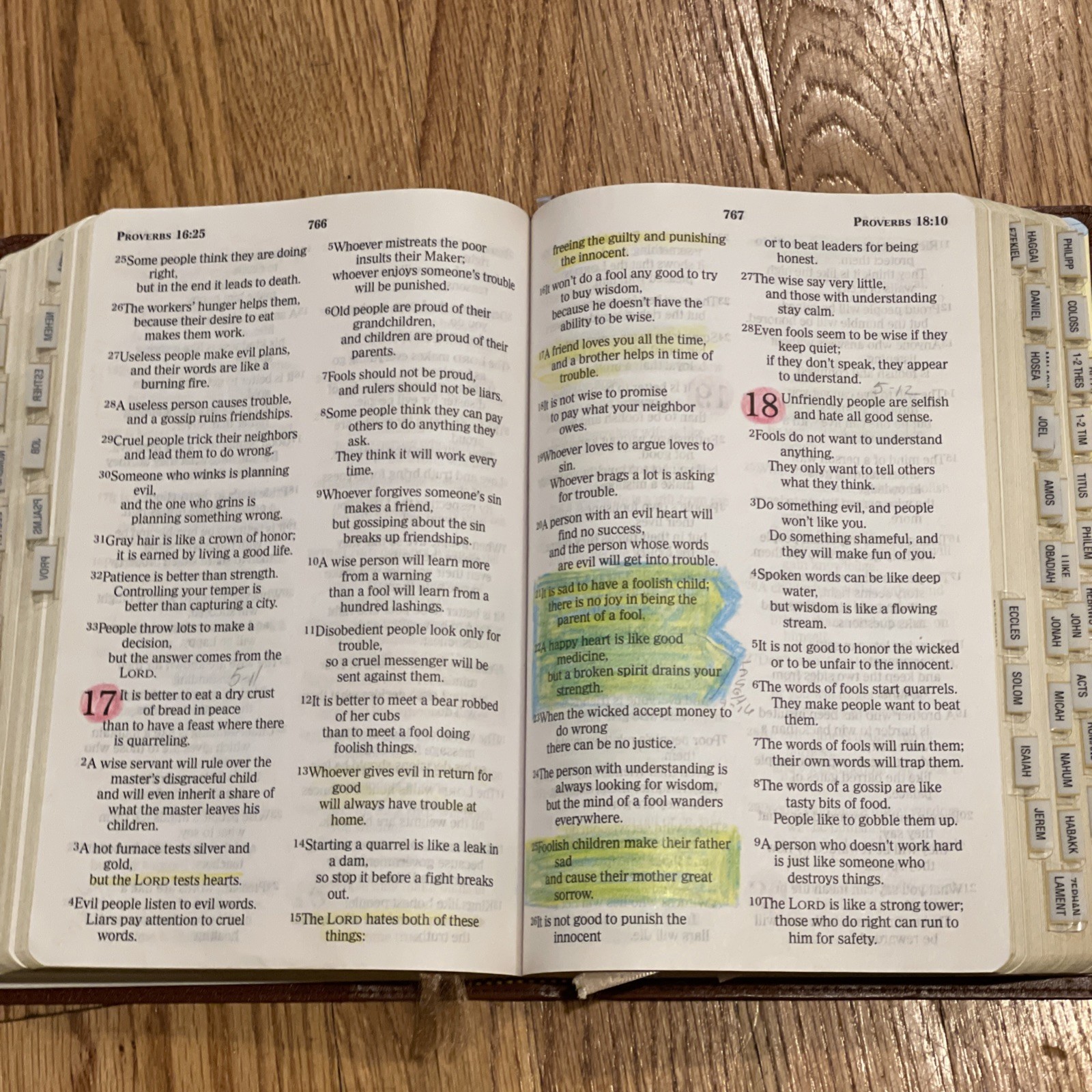 Nelson Bible 6365SAM NCV New Century Version Giant Print Book Tabs *READ*