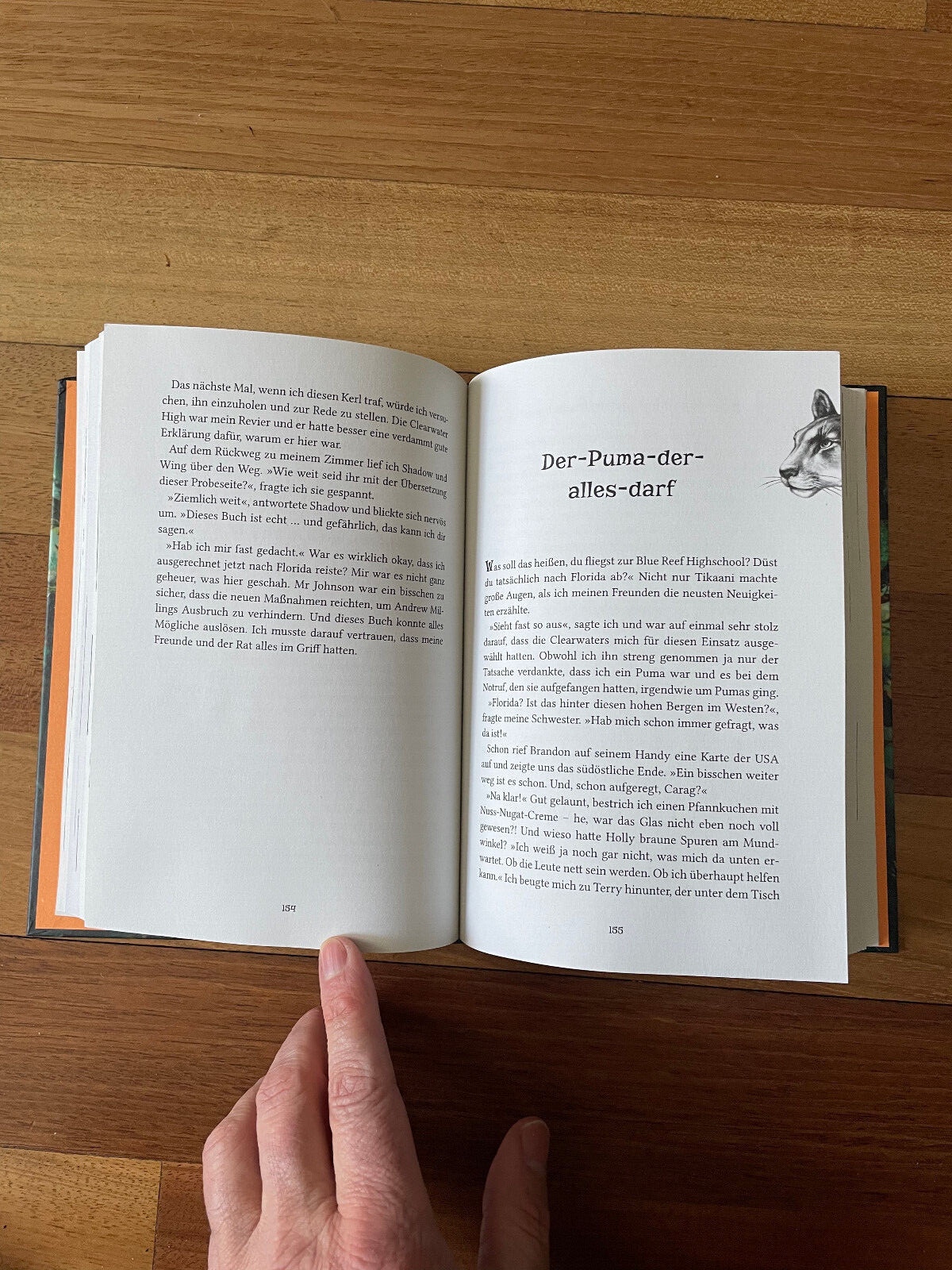 Woodwalkers Die Ruckkeher Das Vermachtnis der Wandler by Katja Brandis