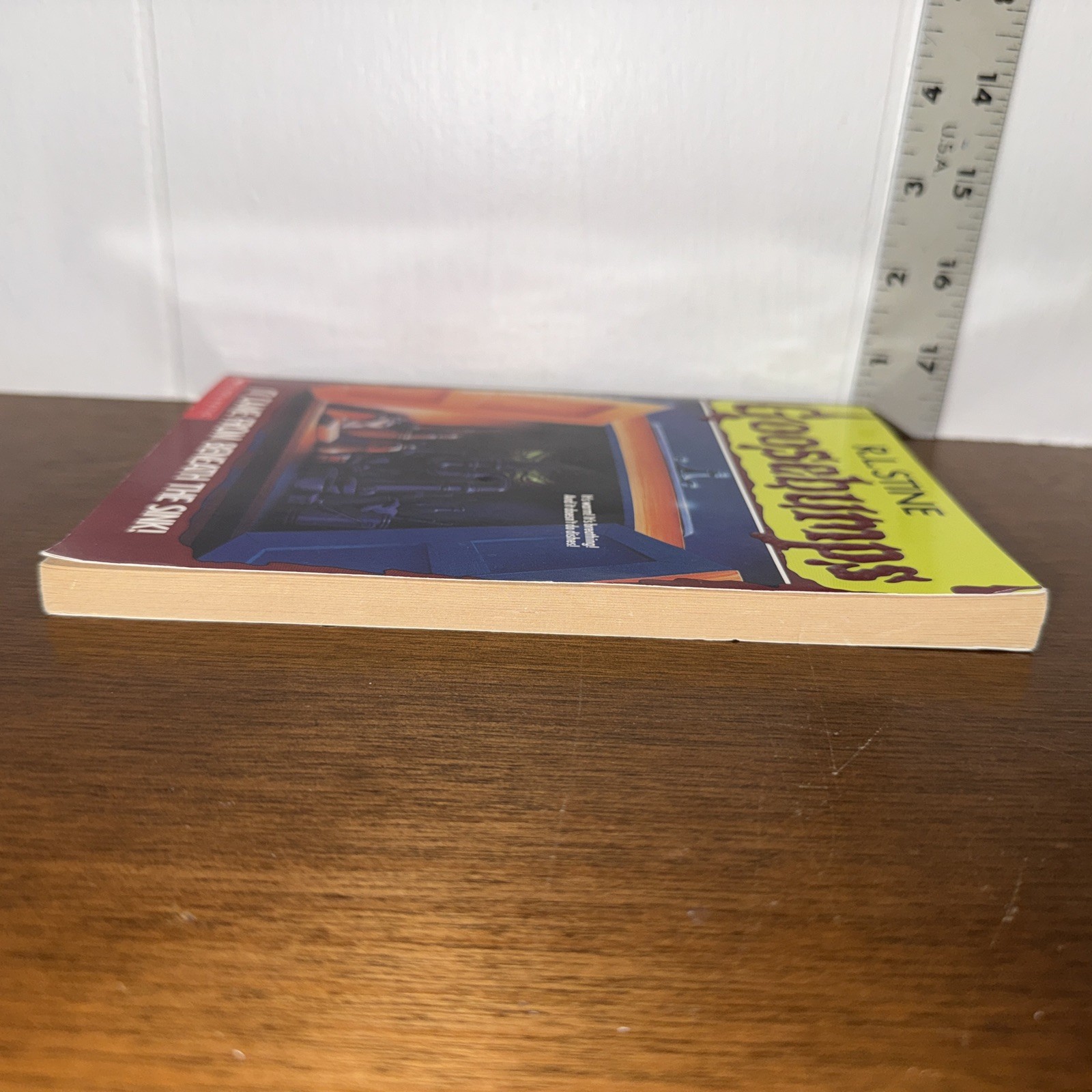 Goosebumps It Came From Beneath the Sink 1st Edition 1st Print 1995 RL Stine #30