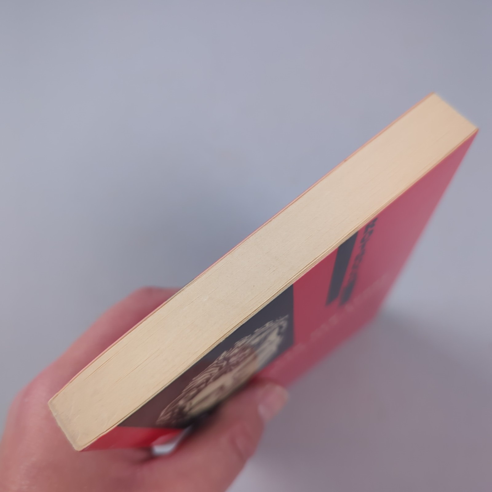 Marinus Van Der Lubbe Und Der Reichstagsbrand Das Rotbuch Reichstagsbrand