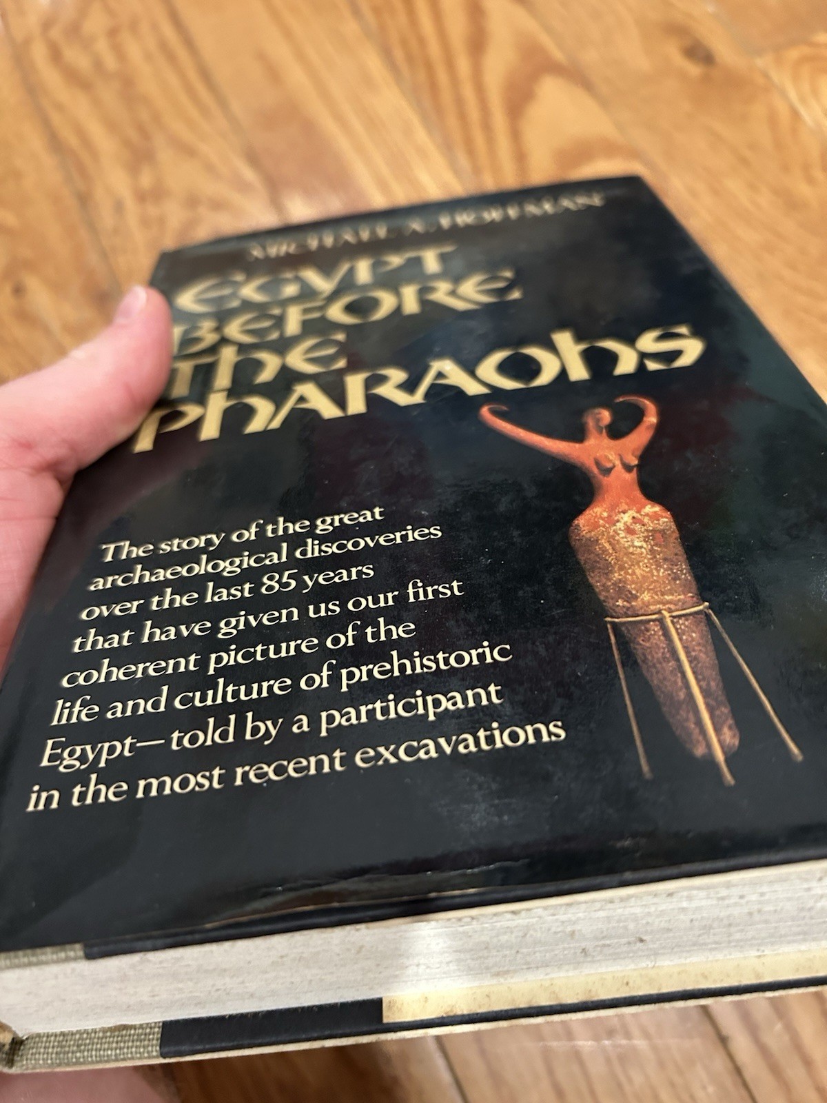 Egypt Before the Pharaohs Michael A Hoffman 1979 Hardcover DJ 1st Edition Pre