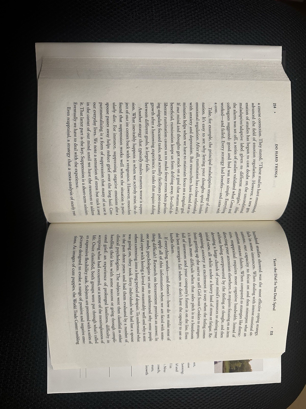 Do Hard Things by Alex & Brett Harris – Like New – Inspiring Read!