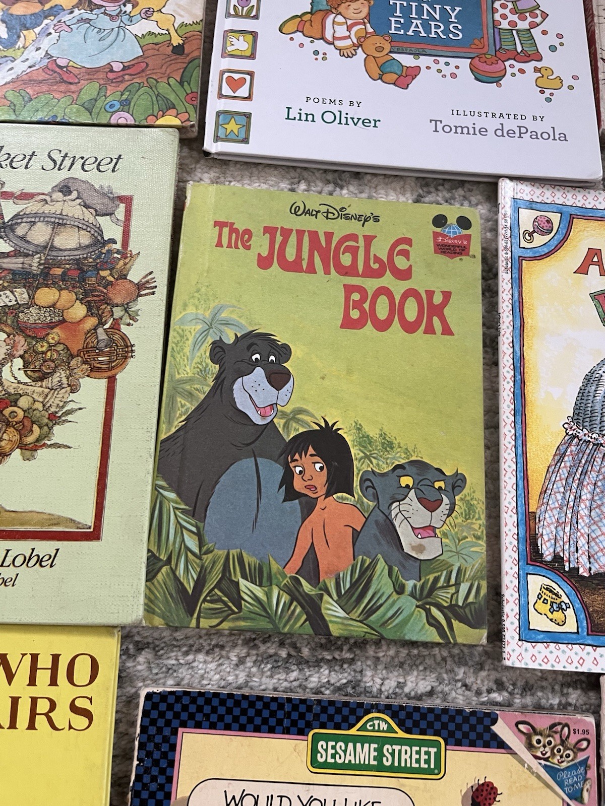 Children’s Picture Book Lot