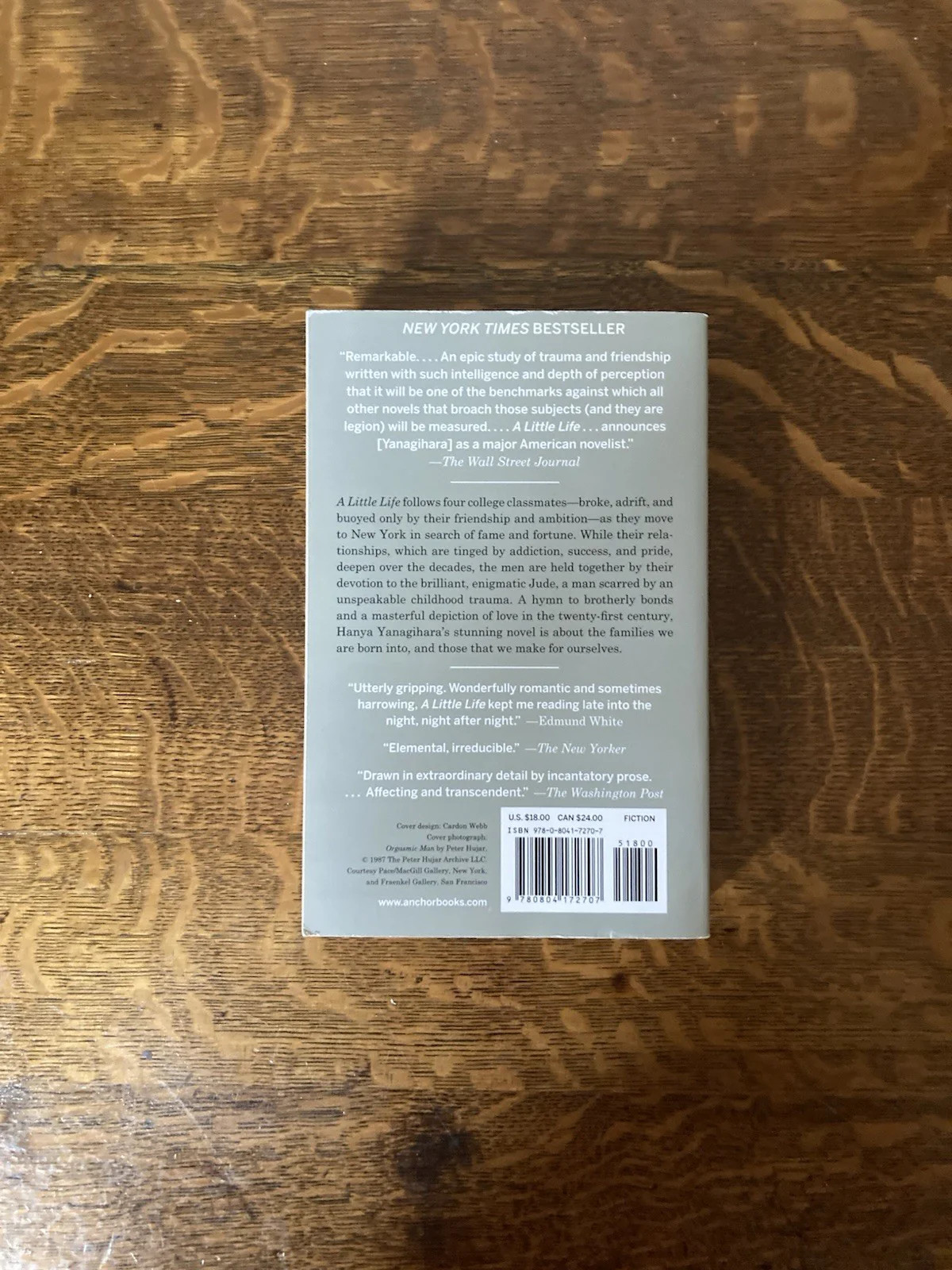A Little Life by Hanya Yanagihara. Anchor Books. Later printing.