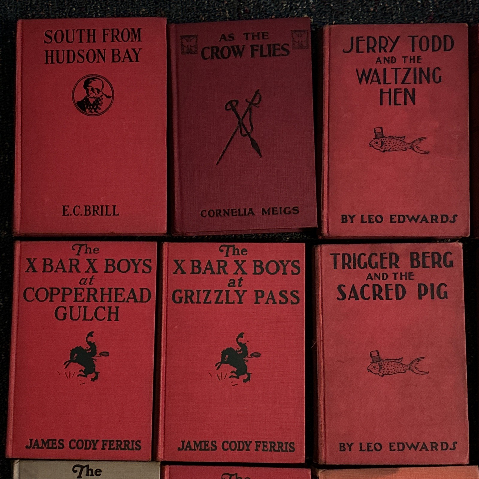 Lot of 24 Vintage Books for Boys 20’s 30’s Hardback Adventure Western Wilderness